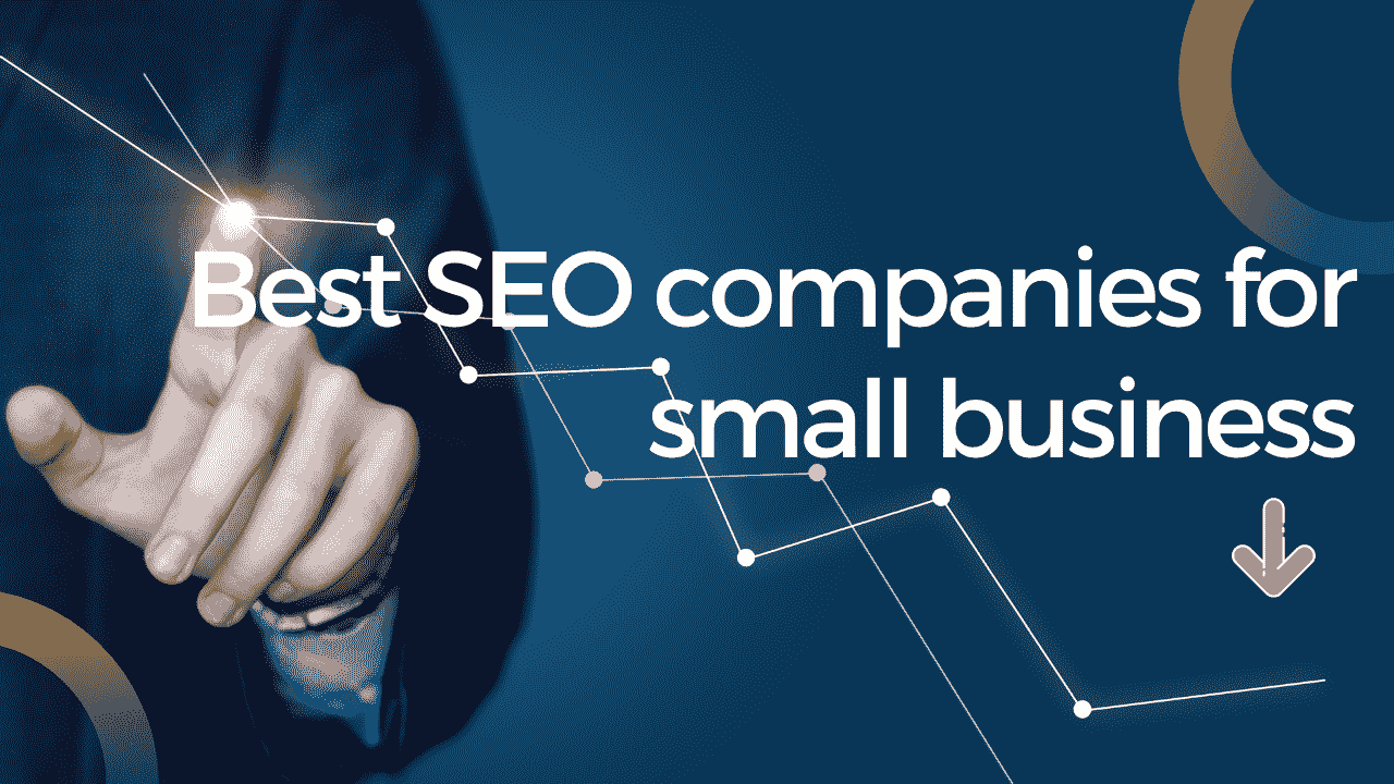 How can small business SEO adapt to frequent algorithm changes